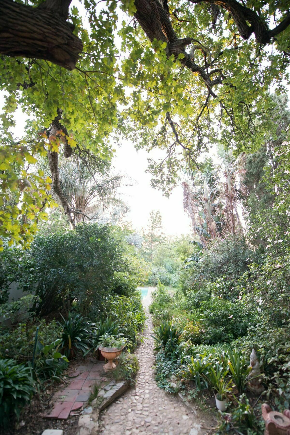 Tulbagh Country Guest House - Cape Dutch Quarters Kültér fotó